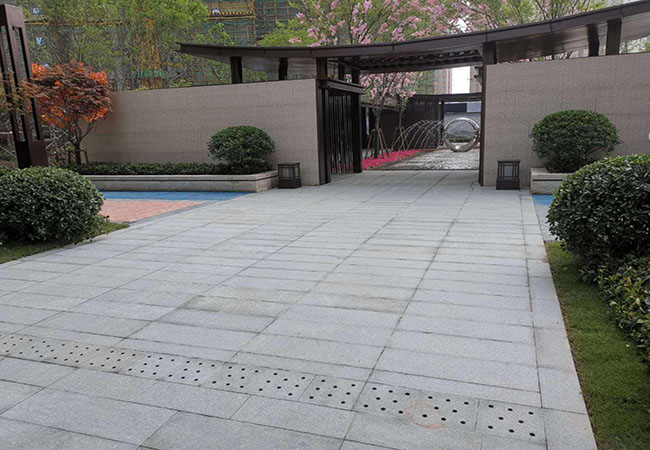 芝麻白價格廠家多少錢(圖3) 芝麻白價格廠家多少錢(圖3)