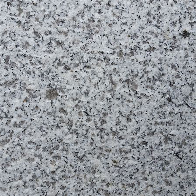 花崗巖芝麻灰馬蹄石(圖4) 花崗巖芝麻灰馬蹄石(圖4)