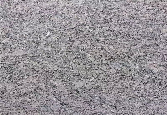芝麻黑g654盲道石價格多少(圖1) 芝麻黑g654盲道石價格多少(圖1)