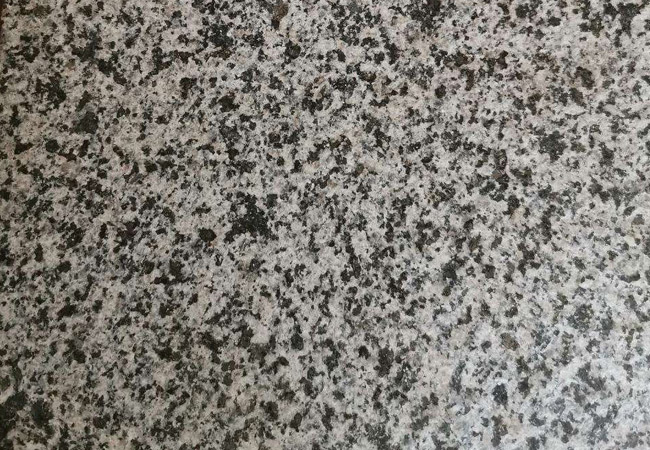 芝麻黑與芝麻白的價(jià)格多少(圖2) 芝麻黑與芝麻白的價(jià)格多少(圖2)
